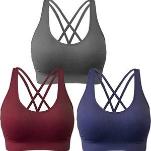 AKAMC | Grey+Wine+Blue | Padded Sports Bras